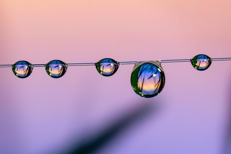 Minimalist Living Room